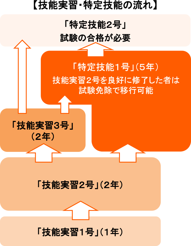 技能実習・特定技能の流れ